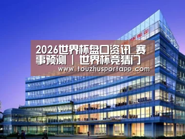 案例展示五