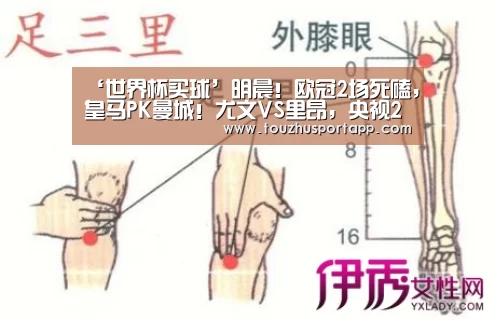 ‘世界杯买球’明晨!欧冠2场死磕,皇马PK曼城!尤文VS里昂,央视2平台划分直播(图1) 世界杯买球