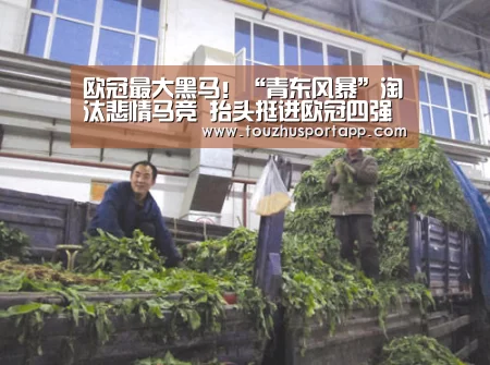 世界杯投注