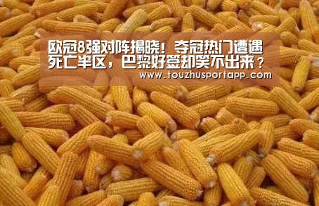 世界杯投注