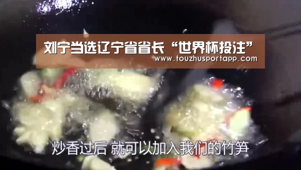 刘宁当选辽宁省省长“世界杯投注”(图2) 世界杯买球