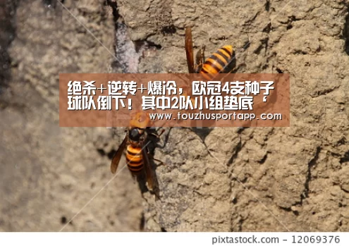绝杀+逆转+爆冷,欧冠4支种子球队倒下!其中2队小组垫底‘世界杯盘口’(图1) 世界杯买球