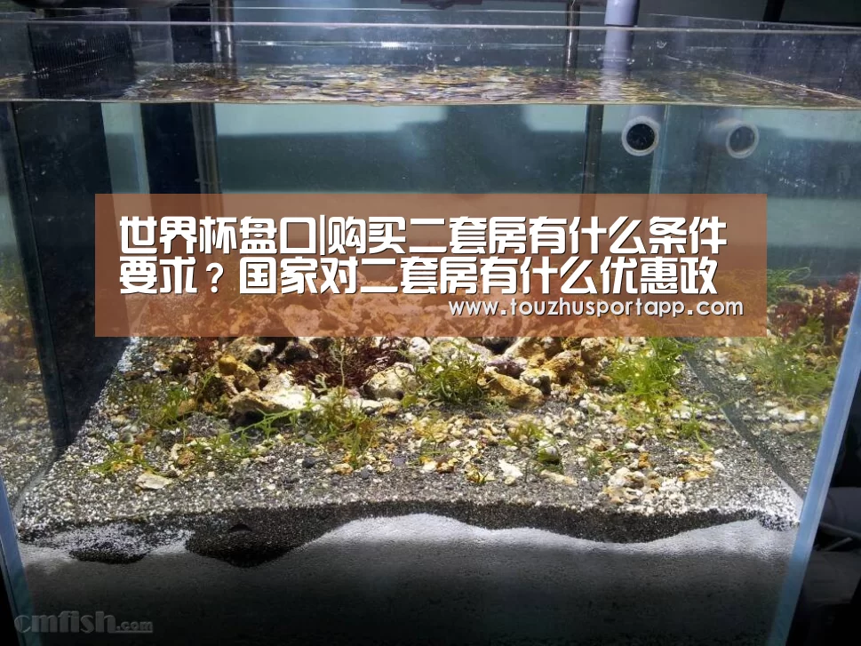 世界杯盘口|购买二套房有什么条件要求?国家对二套房有什么优惠政策?(图4) 世界杯盘口