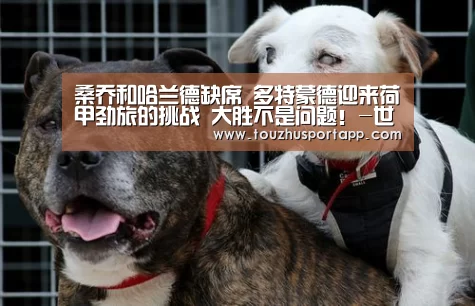 桑乔和哈兰德缺席 多特蒙德迎来荷甲劲旅的挑战 大胜不是问题!-世界杯买球(图1) 竞猜攻略