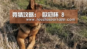 竞猜攻略:
欧冠杯 8(图2) 世界杯投注